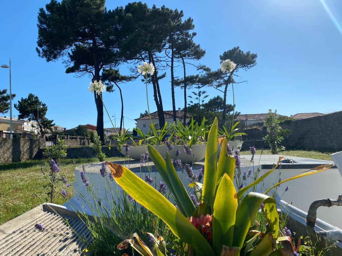 Beach House With Swimming Pool Vila do Conde Εξωτερικό φωτογραφία